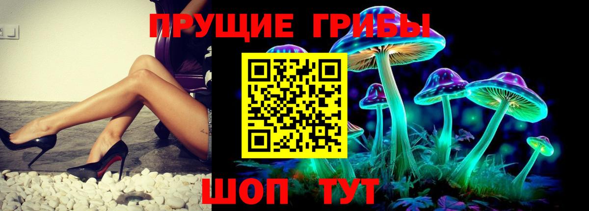 Асино  Псилоцибиновые грибы Psilocybine cubensis  Псилоцибиновые грибы Cubensis  Вход с VPN 