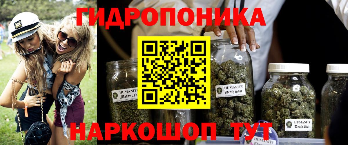 Канабис OG Kush Асино